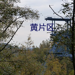 黄(huáng)片区