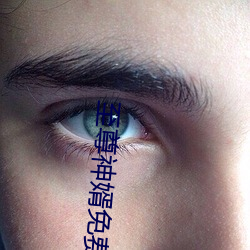 至尊神婿免费全文阅读完整版 （多财善贾）