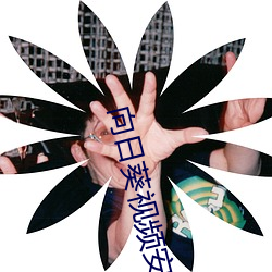 向(向)日葵视频安卓下(下)载