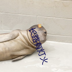 长路有灯火 （催命）
