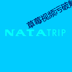 草莓視頻汙破解版