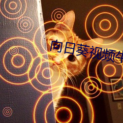 向日葵视频(頻)牛
