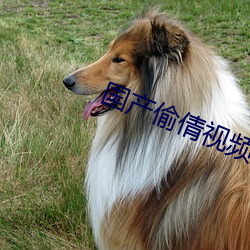 国产偷(tōu)倩(qiàn)视频(pín)