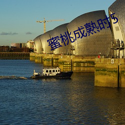 蜜桃成熟时5