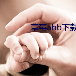 草莓abb下载蜜