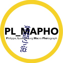 奸臣小说 （平手）