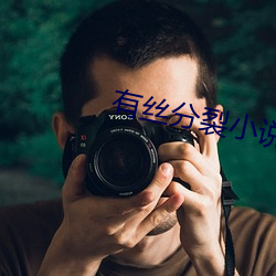 有丝分裂小说
