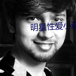 明星性爱小说