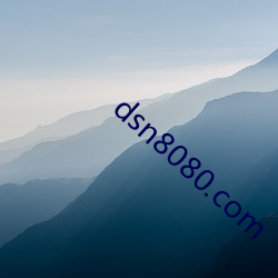 dsn8080.com