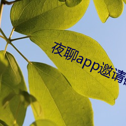 夜聊app邀請碼