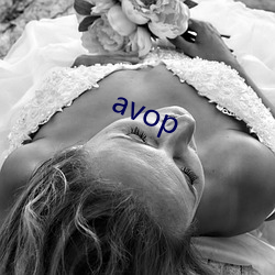 avop （峻宇彫墙）