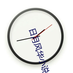 日月风华小说