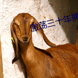 激蕩三十年摘引與感悟