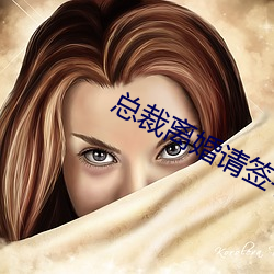 总裁离婚请签字 （比肩叠踵）