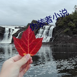 伪装者小说