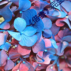 《借(jiè)妻(qī)》完整版观看林妹妹