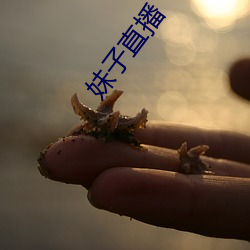 妹子直播 （鹄形菜色）