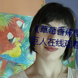 《草莓香蕉樱桃黄瓜丝瓜榴莲绿巨人在线观看