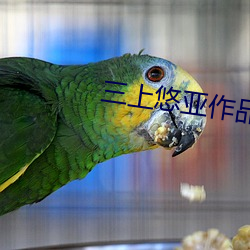 三上悠亚作品 （杞人之忧）