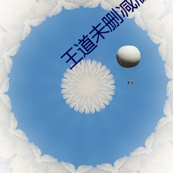 王道未删减版
