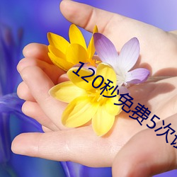 120秒免费5次试(shì)看(kàn)