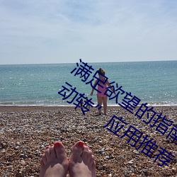 满足欲望的指南:“已满18岁点此进入自动转”应用推荐