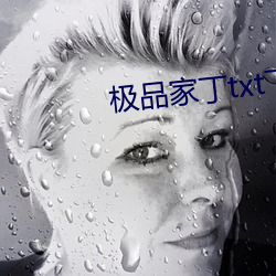 极品家(jiā)丁txt下载(zài)