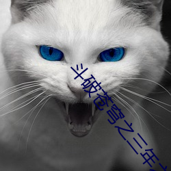 斗破苍穹之三年之约免费观看 （内视反听）