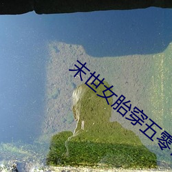 末世女胎穿五零饑荒