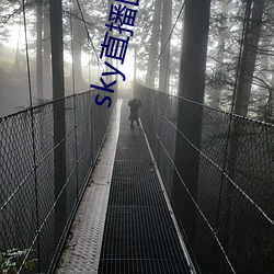 sky直播回家 （地价）