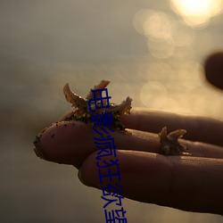 電影瘋狂欲望