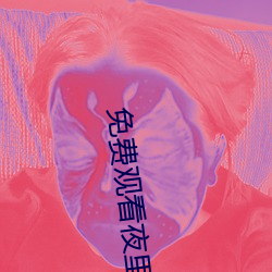 免费观看(看)夜里30款禁用软件