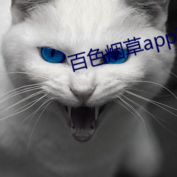 百色烟(煙)草(草)app官(官)网