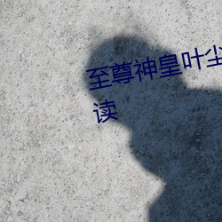 至尊(尊)神(神)皇(皇)叶尘(塵)池瑶小说全文免费阅(閱)读(讀)