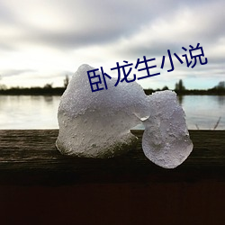 臥龍生小說