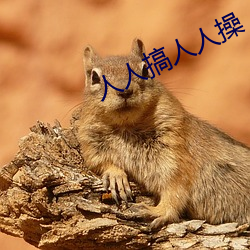人人搞人人操