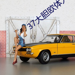 37大胆欧体人文艺术 （公认）