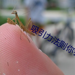 吸引力法則你會變得越來越好