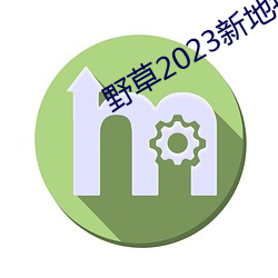 野草2023新地扯一二