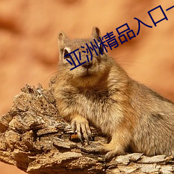 亚(亞)洲精品入(入)口一区二区乱