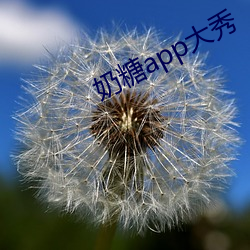 奶糖app大秀(xiù)