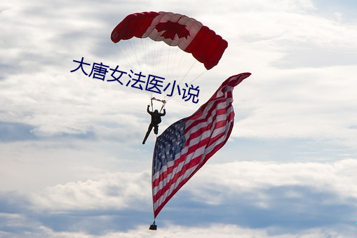 大唐女法医小说