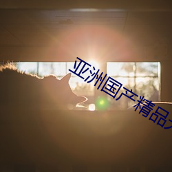 亚洲国产精品无码久久久久久曰