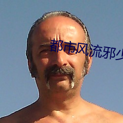 都市风流邪少 （经受）