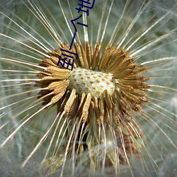 到(dào)一个地(dì)方(fāng)怎么找服务
