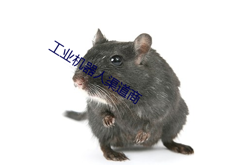 工业机器人渠道商