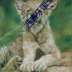 西班牙國王有多少情人