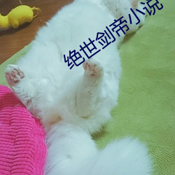 绝世剑帝小说