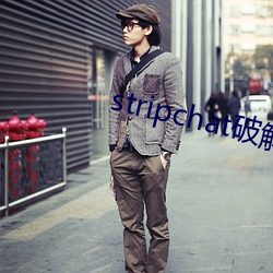 stripchat破(破)解(解)版