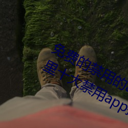免(免)费的(的)禁用的app哪(哪)款(款)火?分享最(最)新夜里十大禁用app排行(行)榜